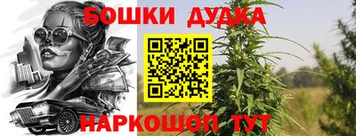 СК Сланцы