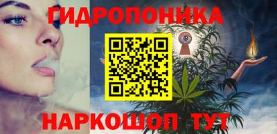СК Сланцы