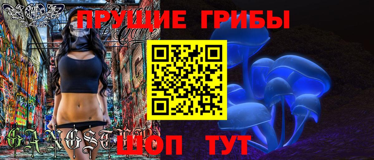 Псилоцибиновые грибы Psilocybine cubensis Благодарный